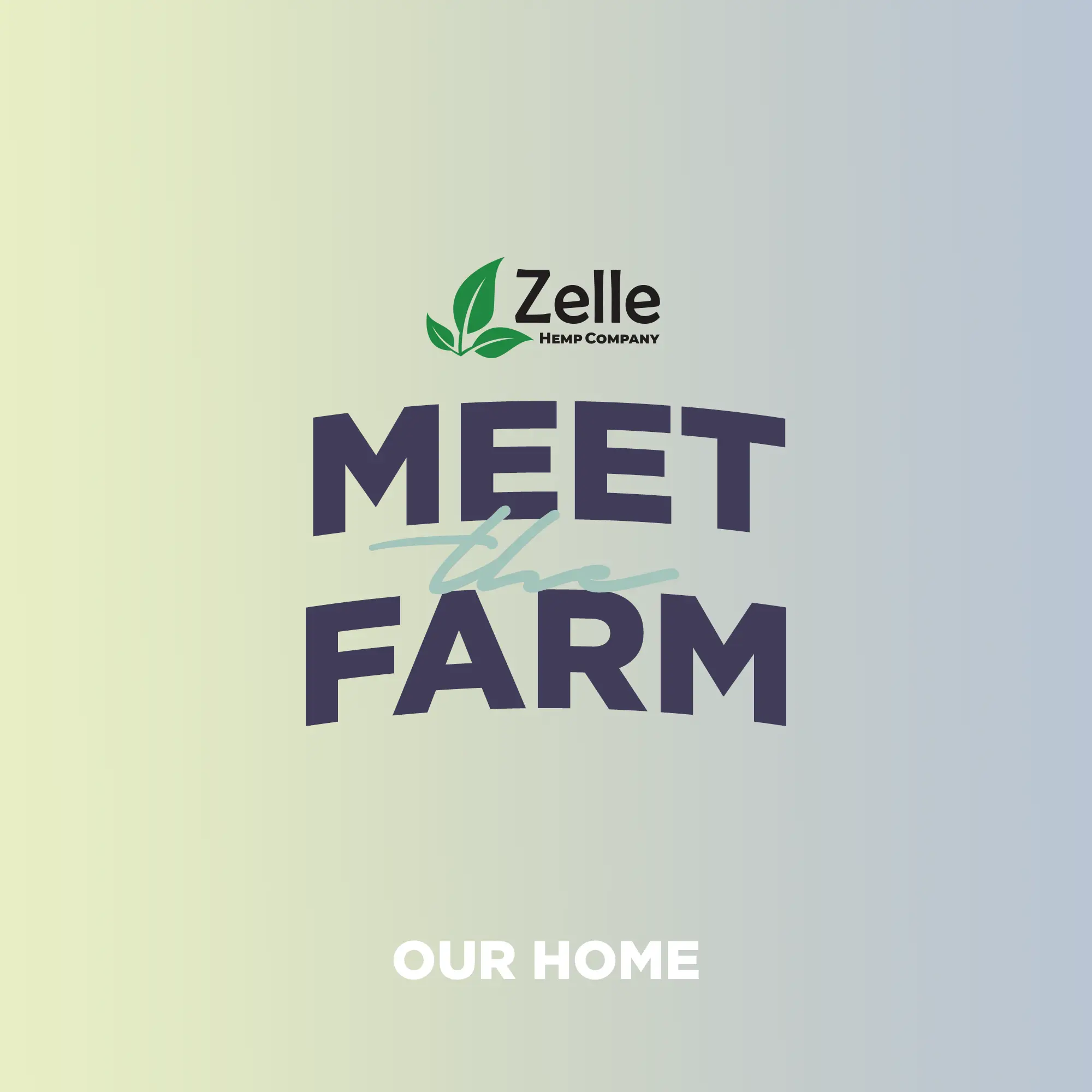 Read more about the article Why was Zelle Hemp Company Started? The Story Behind the Brand