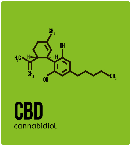 CBD cannabidiol