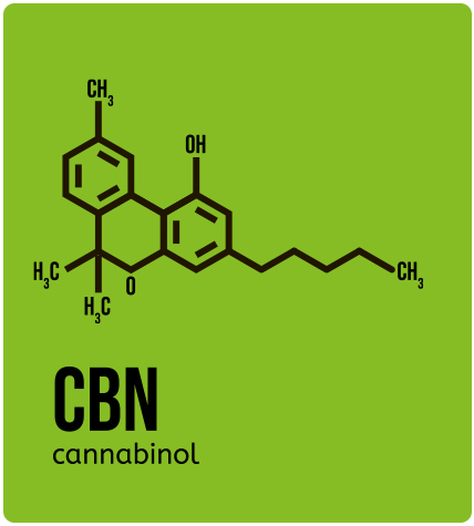 CBN cannabinol