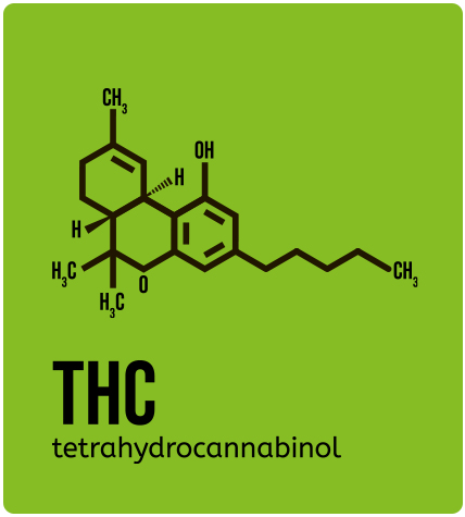THC tetrahydrocannabinol