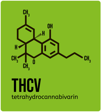 THCV tetrahydrocannabivarin